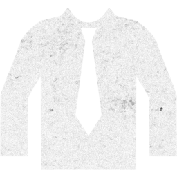 shirt icon