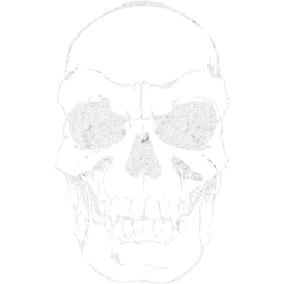 skull 41 icon