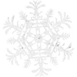 snowflake 25 icon