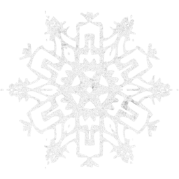 snowflake 54 icon