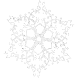 snowflake 8 icon