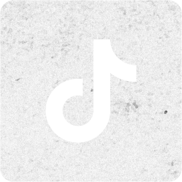 tiktok 2 icon