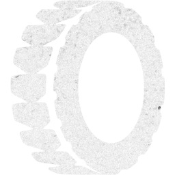 tire icon