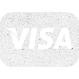 visa icon