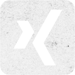 xing 3 icon