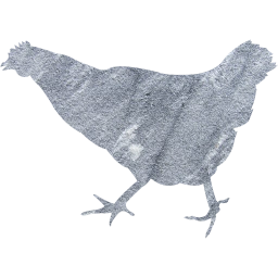 chicken 2 icon