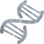 dna helix