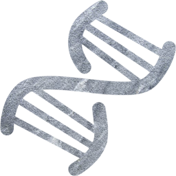 dna helix icon