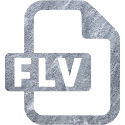 flv icon