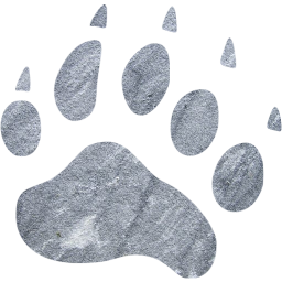 footprints bear icon