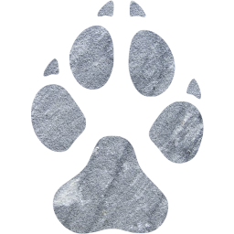 footprints dog icon