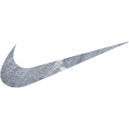 nike icon