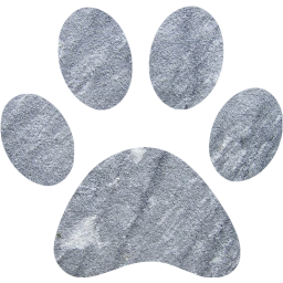 paw icon