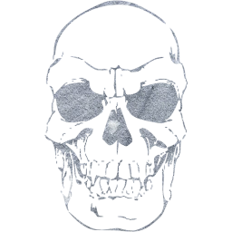 skull 41 icon