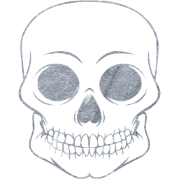 skull 55 icon