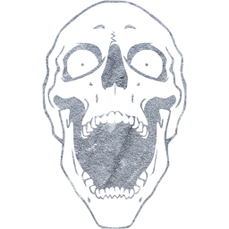 skull 65 icon