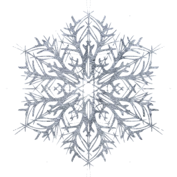 snowflake 22 icon