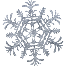 snowflake 25 icon