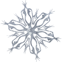 snowflake 4 icon