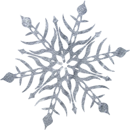 snowflake 47 icon