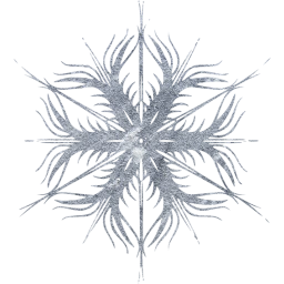 snowflake 53 icon