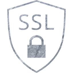 ssl badge icon