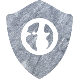 web shield icon