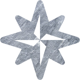 wind rose icon