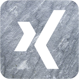 xing 3 icon