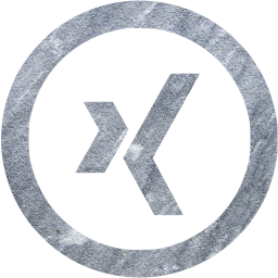 xing 5 icon