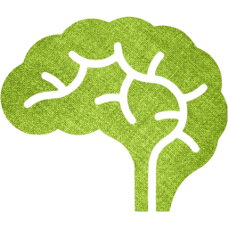 brain icon