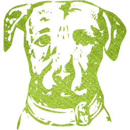 dog 6 icon