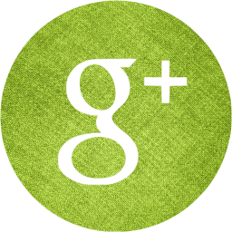 google plus 4 icon