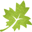 leaf 3