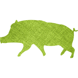 pig 10 icon