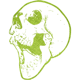 skull 21 icon