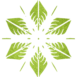 snowflake 5 icon