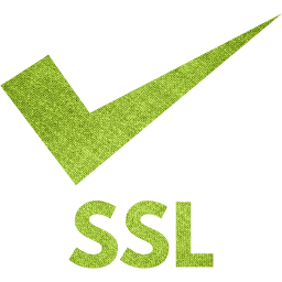 ssl badge 3 icon