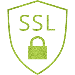 ssl badge icon