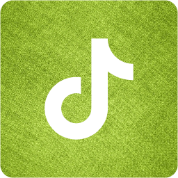 tiktok 2 icon