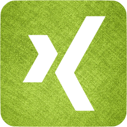 xing 3 icon