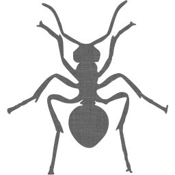 ant icon