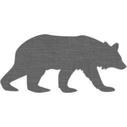 bear 5 icon