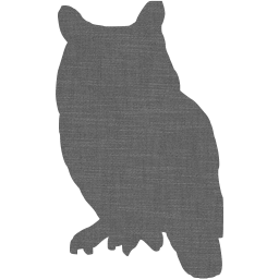 owl icon