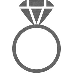 ring 2 icon