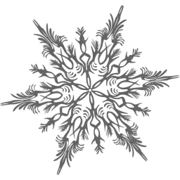 snowflake 41 icon