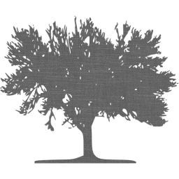 tree 59 icon