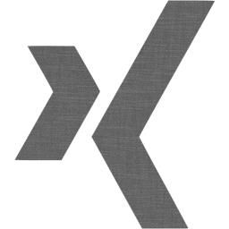 xing icon