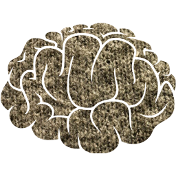 brain 2 icon