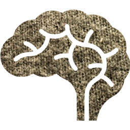 brain icon